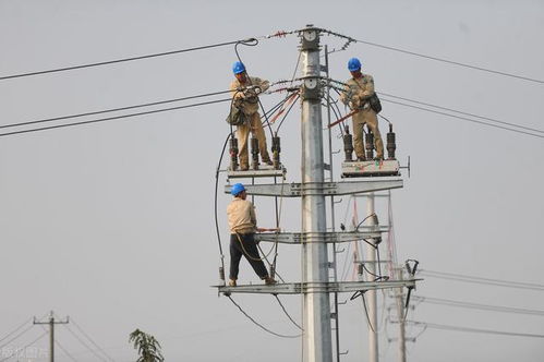 線路避雷器 基本原理、關鍵技術要求與電力工程應用詳解
